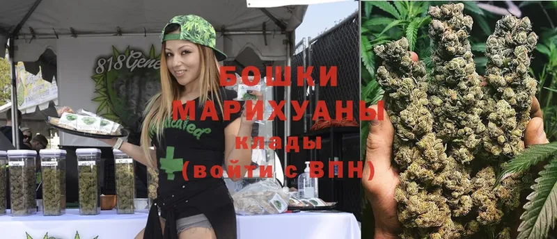 Бошки марихуана Ganja  купить  цена  Жуков 